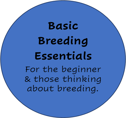 Basic Breeding Essentials